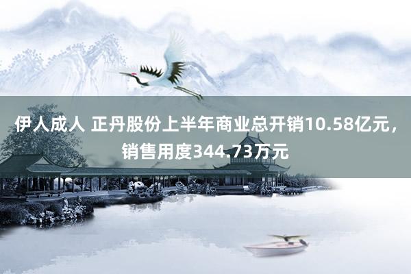 伊人成人 正丹股份上半年商业总开销10.58亿元,销售用度344.73万元