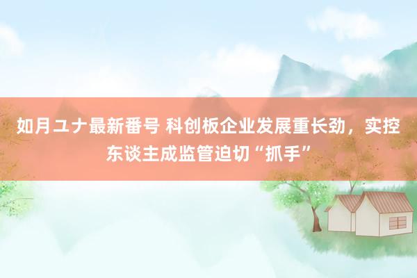 如月ユナ最新番号 科创板企业发展重长劲,实控东谈主成监管迫切“抓手”