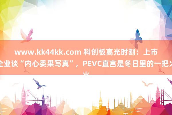 www.kk44kk.com 科创板高光时刻:上市企业谈“内心委果写真”,PEVC直言是冬日里的一把火
