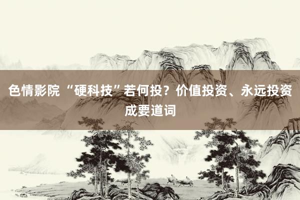 色情影院 “硬科技”若何投?价值投资、永远投资成要道词