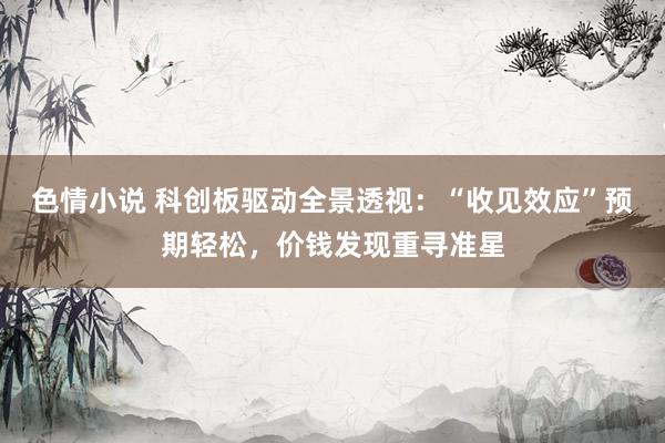 色情小说 科创板驱动全景透视:“收见效应”预期轻松,价钱发现重寻准星