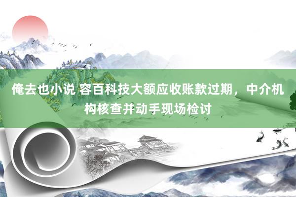 俺去也小说 容百科技大额应收账款过期,中介机构核查并动手现场检讨