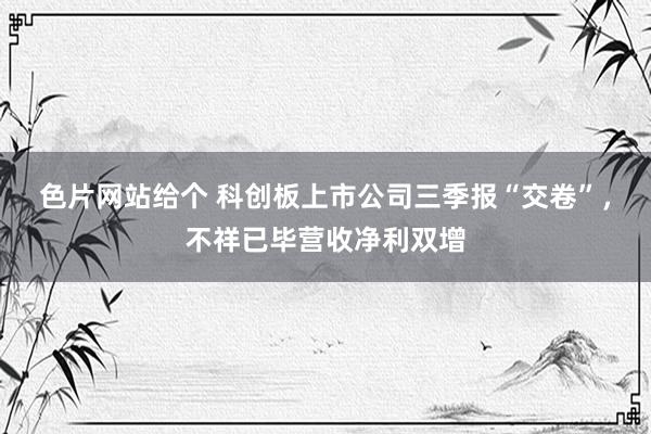 色片网站给个 科创板上市公司三季报“交卷”,不祥已毕营收净利双增