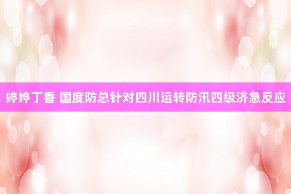 婷婷丁香 国度防总针对四川运转防汛四级济急反应
