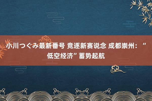 小川つぐみ最新番号 竞逐新赛说念 成都崇州:“低空经济”蓄势起航
