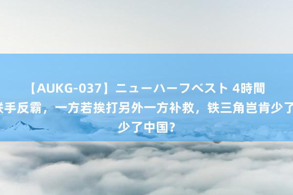 【AUKG-037】ニューハーフベスト 4時間 俄朝联手反霸,一方若挨打另外一方补救,铁三角岂肯少了中国?