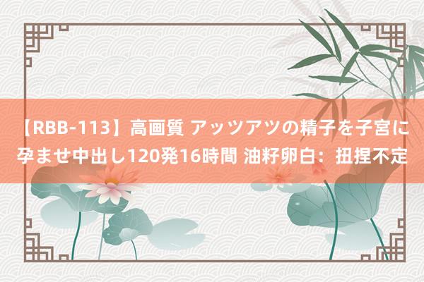 【RBB-113】高画質 アッツアツの精子を子宮に孕ませ中出し120発16時間 油籽卵白:扭捏不定