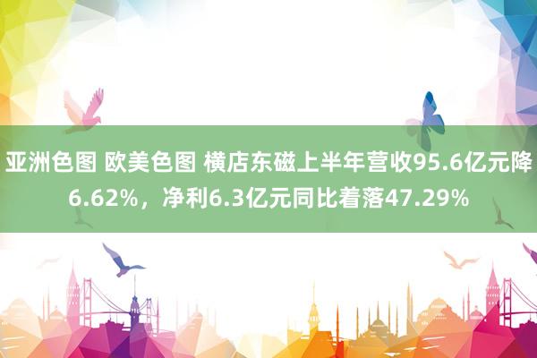亚洲色图 欧美色图 横店东磁上半年营收95.6亿元降6.62%,净利6.3亿元同比着落47.29%