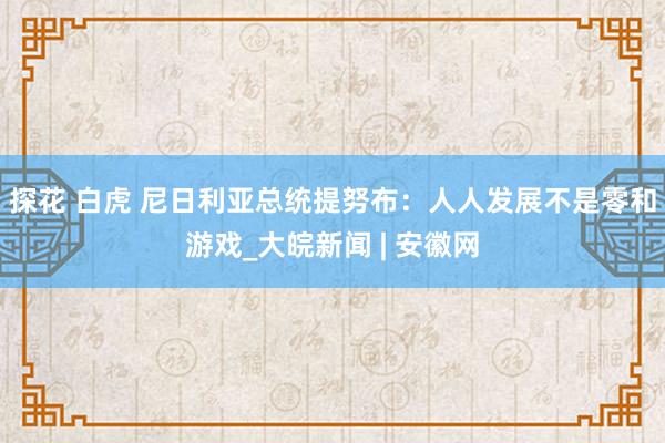 探花 白虎 尼日利亚总统提努布:人人发展不是零和游戏_大皖新闻 | 安徽网