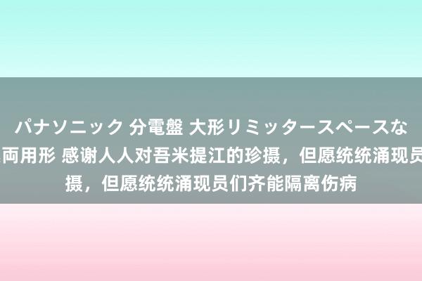 パナソニック 分電盤 大形リミッタースペースなし 露出・半埋込両用形 感谢人人对吾米提江的珍摄,但愿统统涌现员们齐能隔离伤病