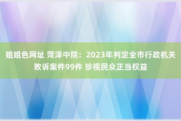 姐姐色网址 菏泽中院:2023年判定全市行政机关败诉案件99件 珍视民众正当权益