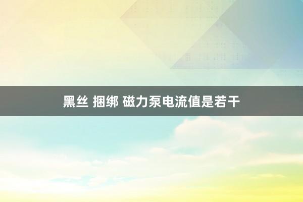 黑丝 捆绑 磁力泵电流值是若干