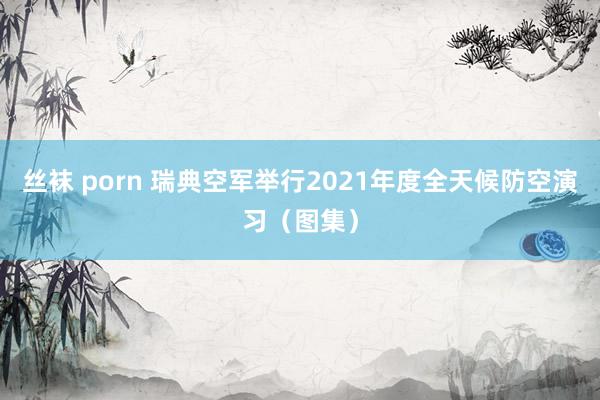 丝袜 porn 瑞典空军举行2021年度全天候防空演习（图集）